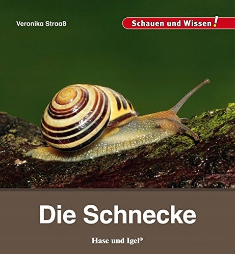 Die Schnecke VERONIKA STRAAß
