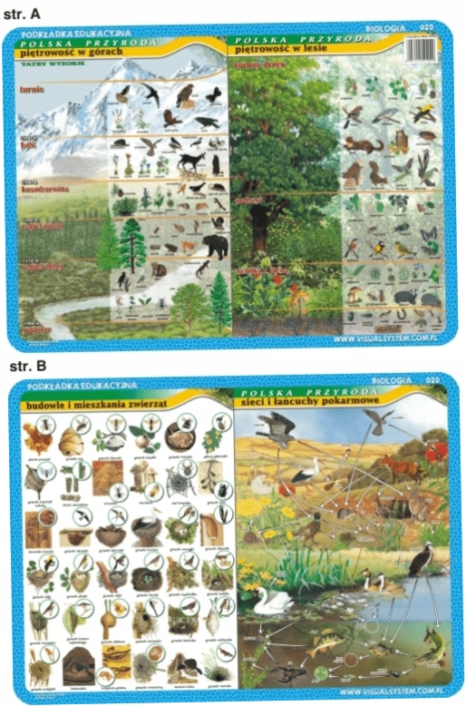 Podkładka edukacyjna Piętrowość w górach i