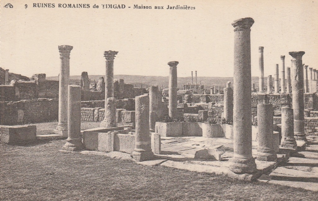792.Algieria Timgad,Ruiny Rzymskie,Przedwojenna Pocztówka