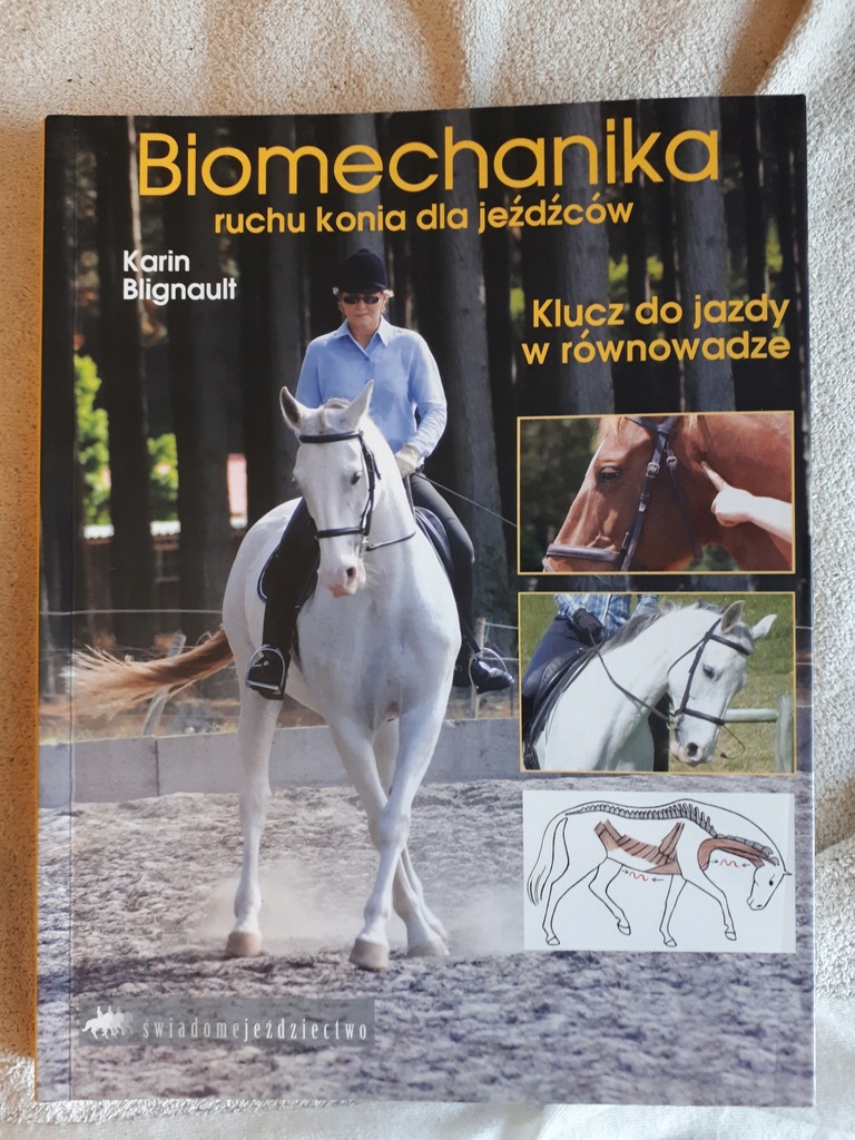 Biomechanika ruchu konia dla jeźdźcow - Poznań !