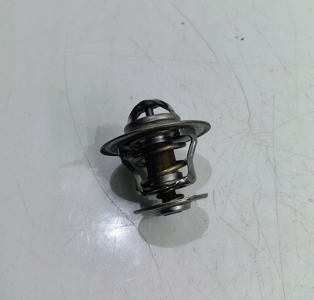 Termostat SEA DOO RXP RXT 215