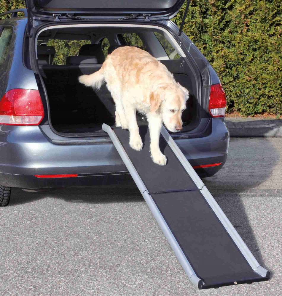 Trixie ramp sale