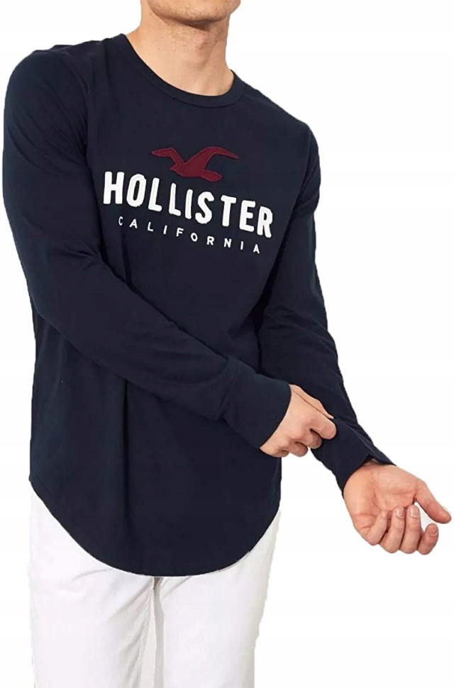 Hollister Tech Logo Graphic Longsleeve M