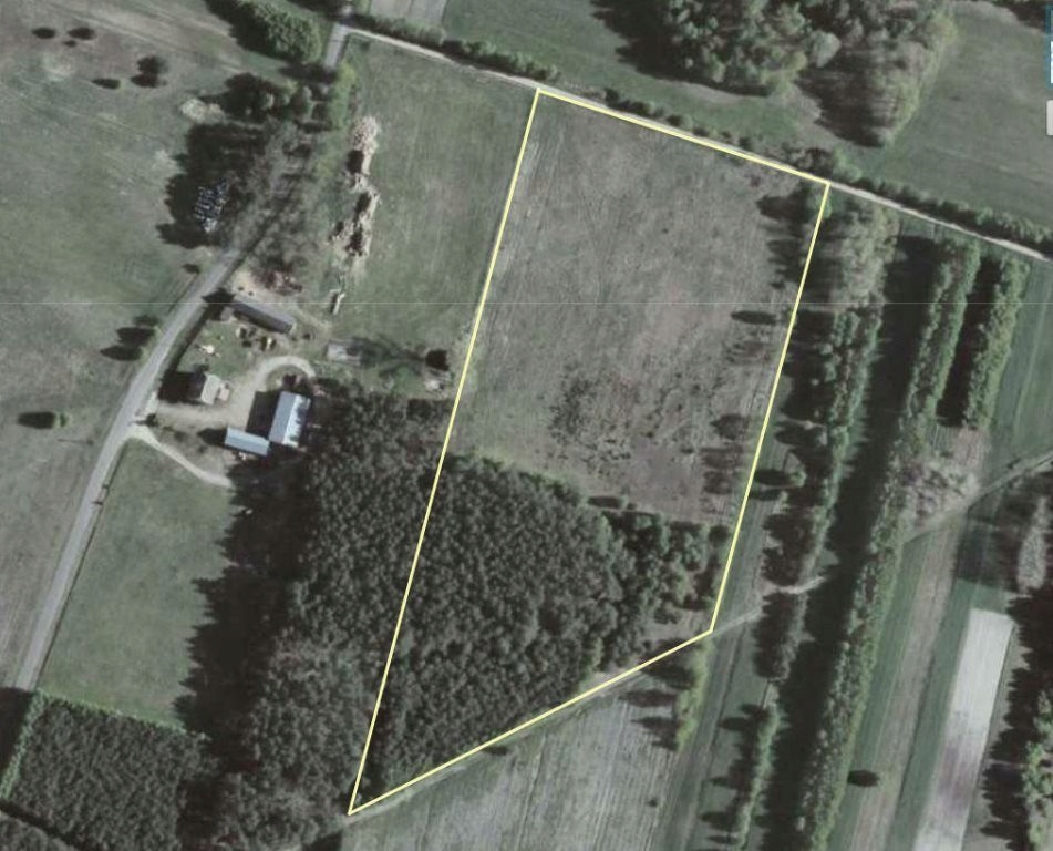 Działka, Pęczniew, Pęczniew (gm.), 31400 m²