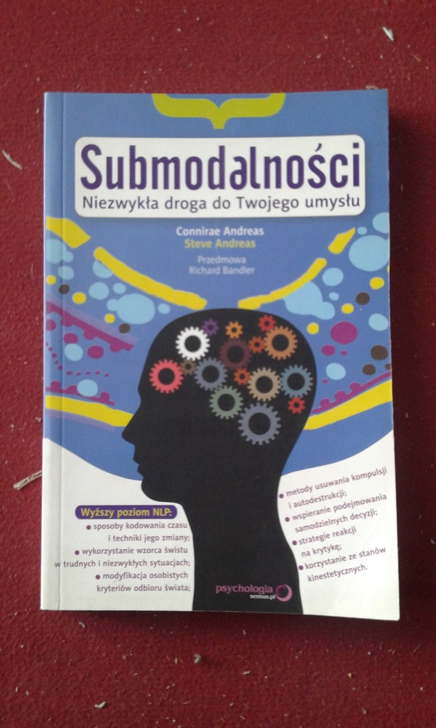 SUBMODALNOŚCI niezwykła droga do Twojego umysłu
