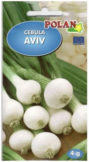 POLAN Cebula nasiona wczesna biała AVIV - 4g