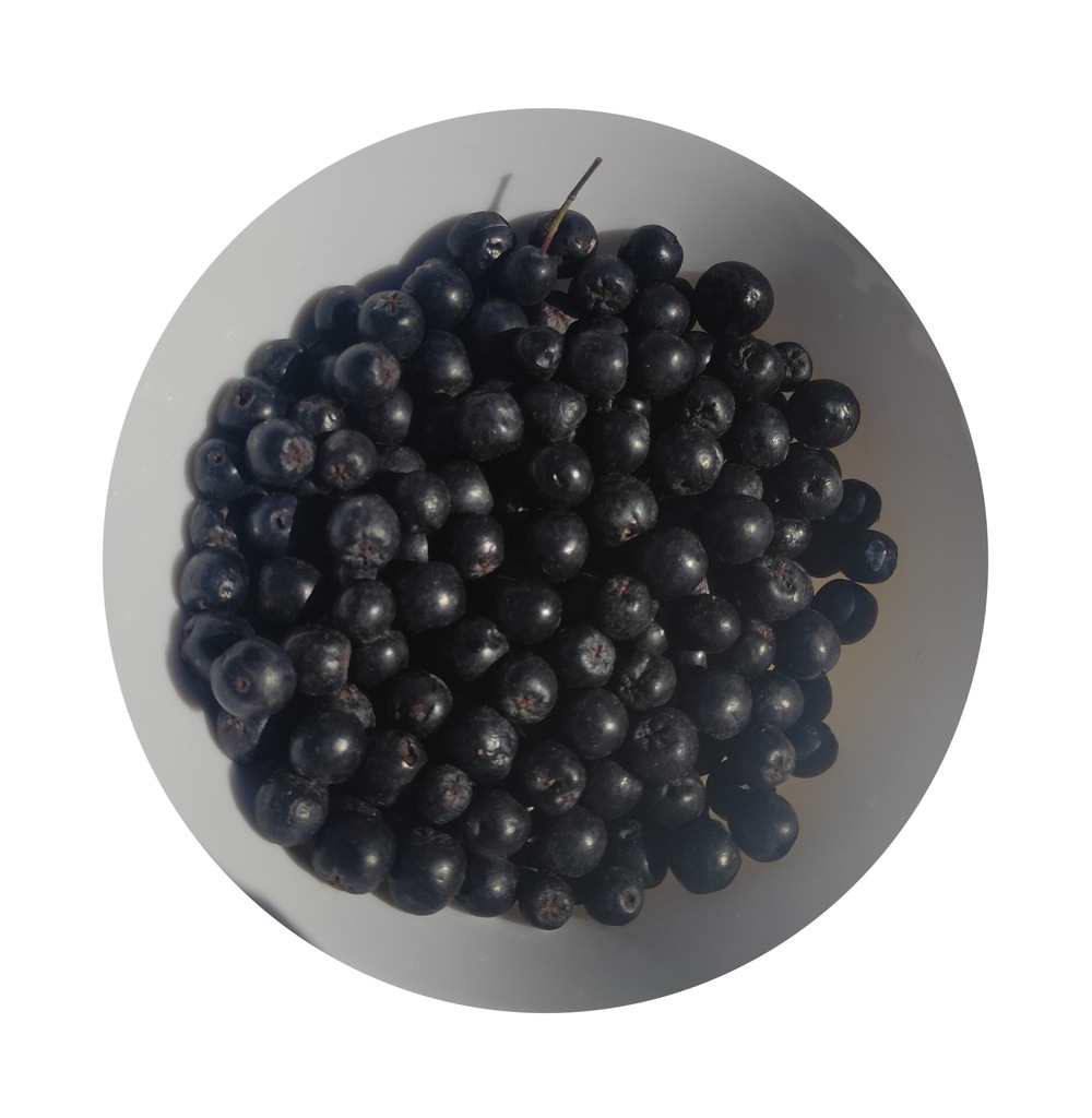 ARONIA ŚWIEŻE OWOCE ARONII 5KG