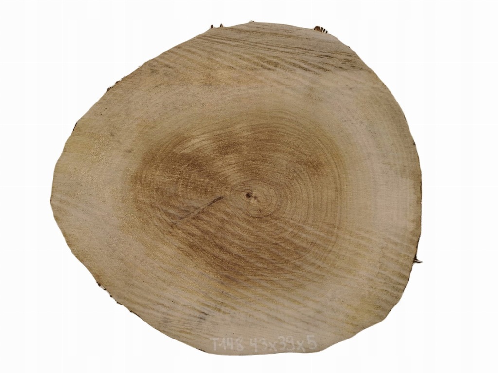 Plaster Topoli 43x39cm Różne Kształty i Rozmiary