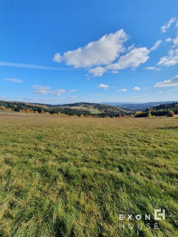 Działka, Bogdanówka, Tokarnia (gm.), 2000 m²