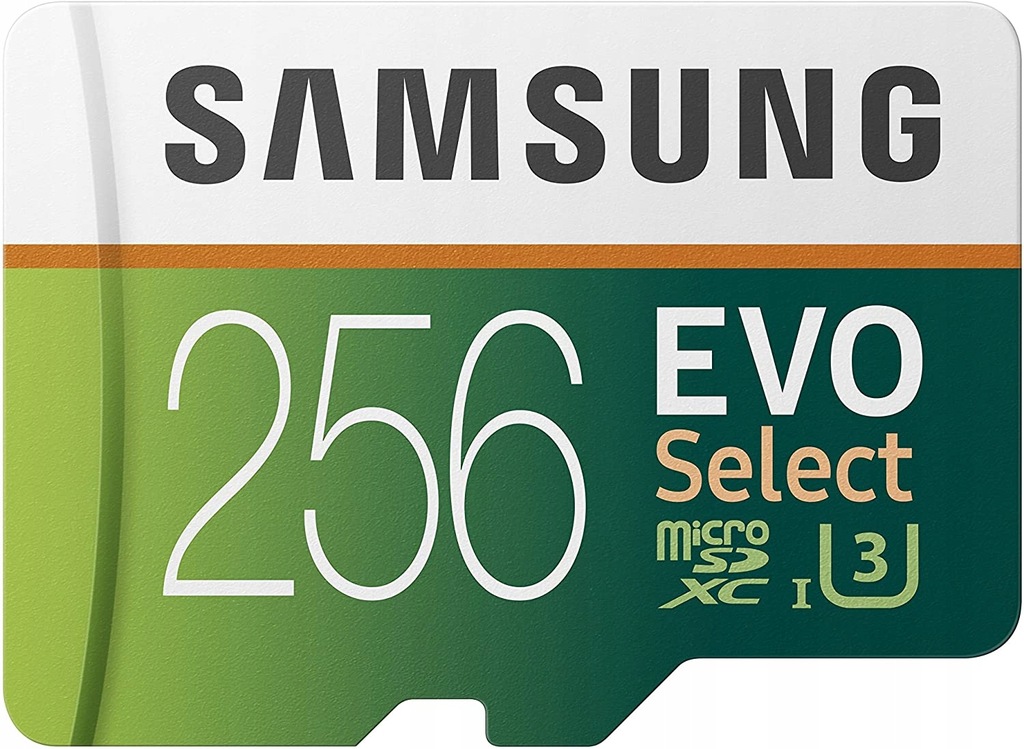 Karta microSD Samsung EVO Select 256GB 100 MB/s