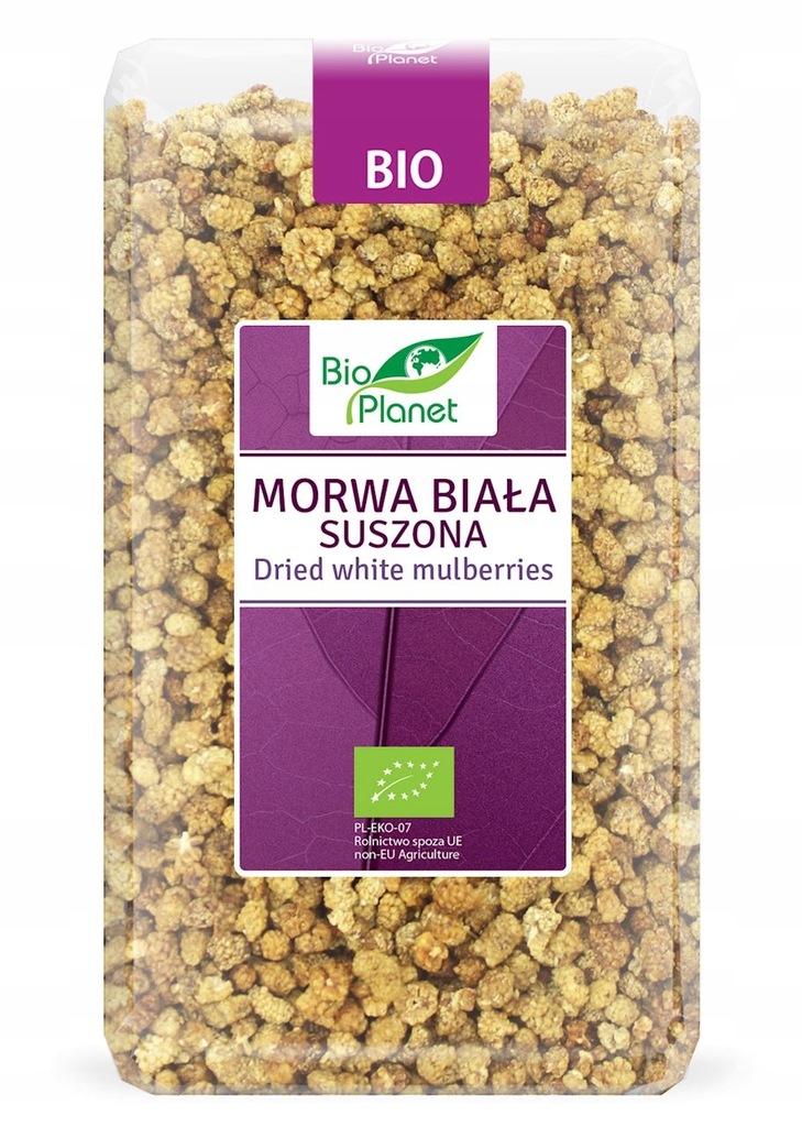 BIO PLANET Morwa biała owoc BIO 1kg ____________