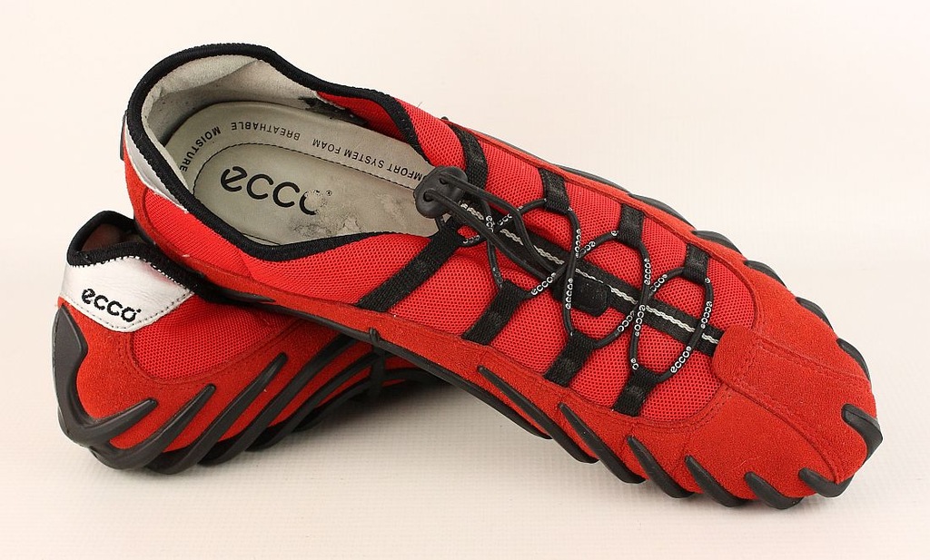 Ecco shark hot sale