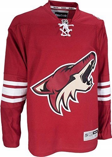 Купить Красная хоккейная толстовка Reebok NHL AZ Coyotes M: отзывы, фото, характеристики в интерне-магазине Aredi.ru