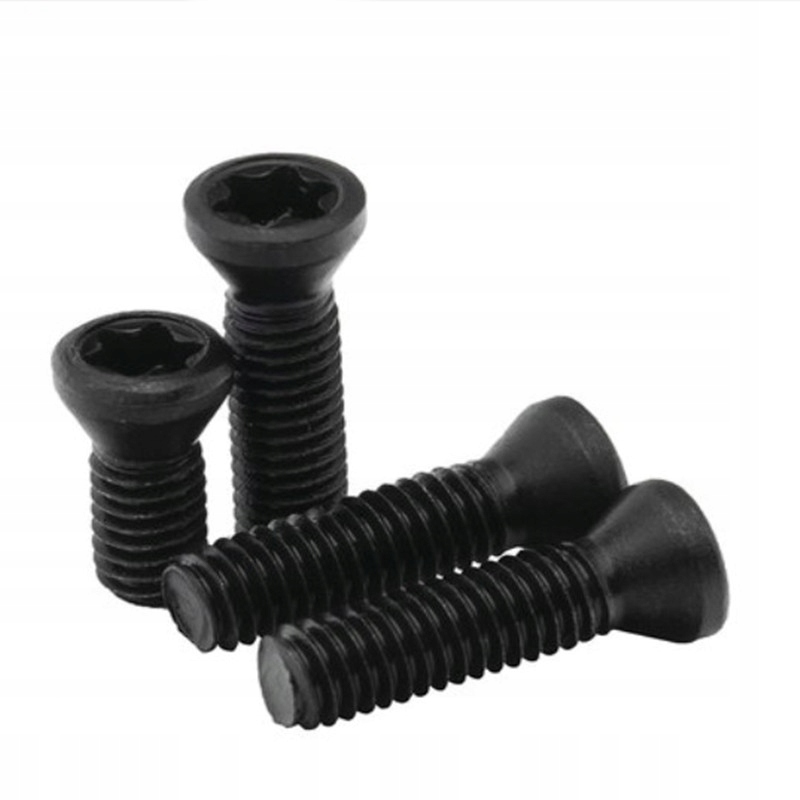 Śruba mocująca płytkę Torx M4x9/10szt./