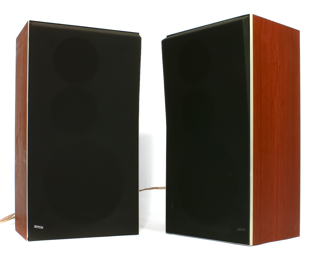 Bang & Olufsen EOVOX S45-2 スピーカーペア　動作確認済 Bang & Olufsen EOVOX S45-2 スピーカーペア 動作確認済