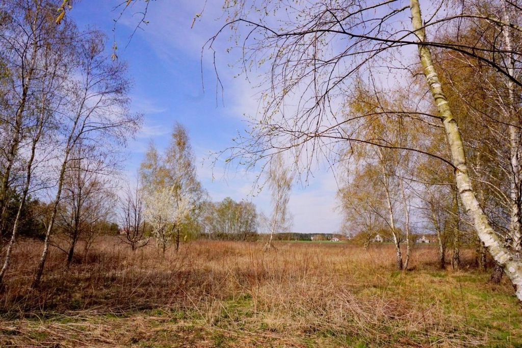 Działka Żabia Wola, grodziski, 1300,00 m²