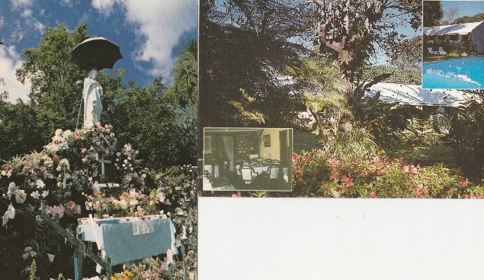 REUNIOn ( 2 w cenie 1 )