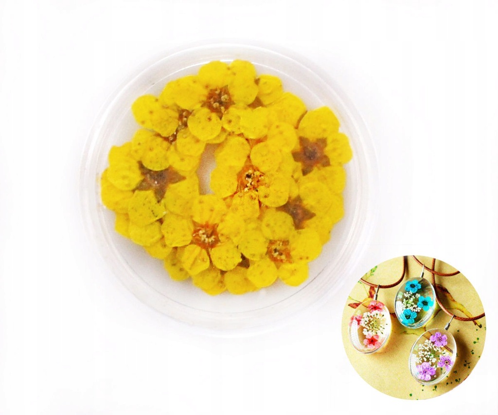 20szt żółty malowane prasowane suszone mały kwiat