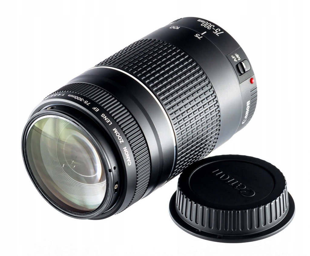 Canon EF 75-300mm F4-5.6 IS USM#1368 - レンズ(ズーム)