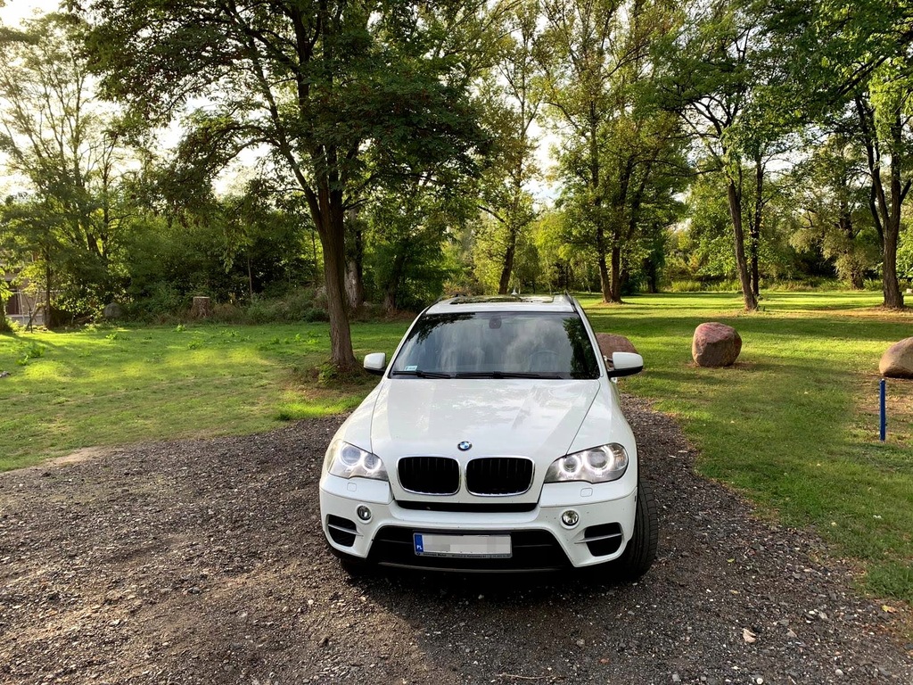 Купить BMW X5 (E70) xDrive 35 и 306 л.с. Красиво: отзывы, фото, характеристики в интерне-магазине Aredi.ru