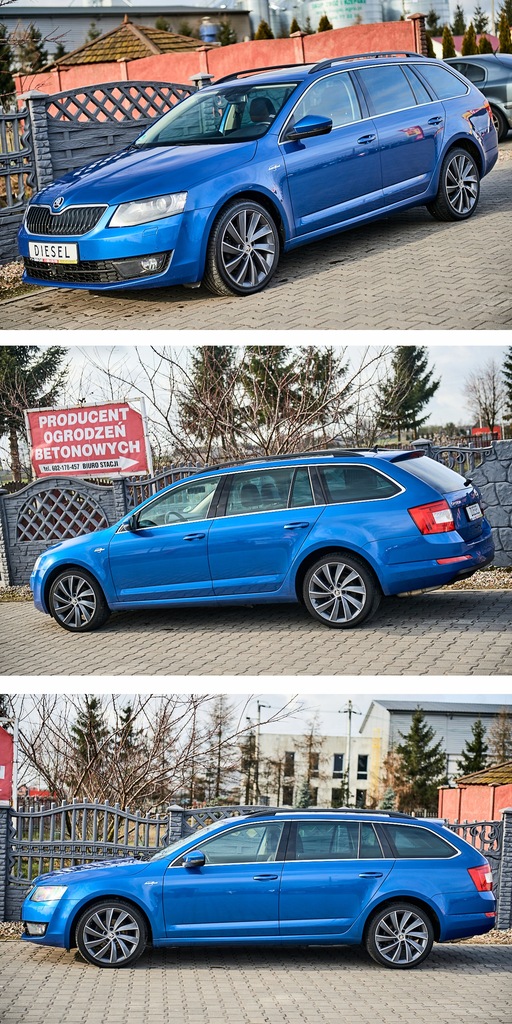 Купить ОКТАВИЯ 2.0 TDI 4x4 LAURIN & KLEMENT WEBASTO: отзывы, фото, характеристики в интерне-магазине Aredi.ru