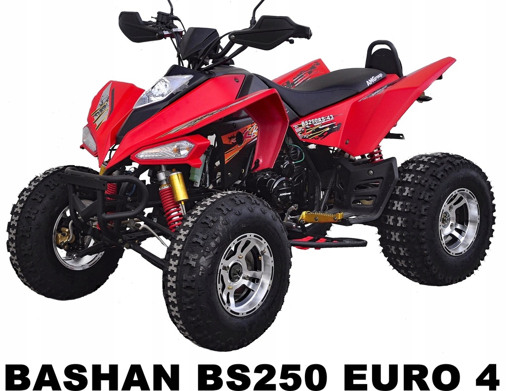 Quad ATV BASHAN 250 EFI homologacja RATY Transport