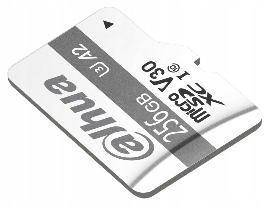 KARTA PAMIĘCI TF-P100/256GB microSD UHS-I, SDXC 25