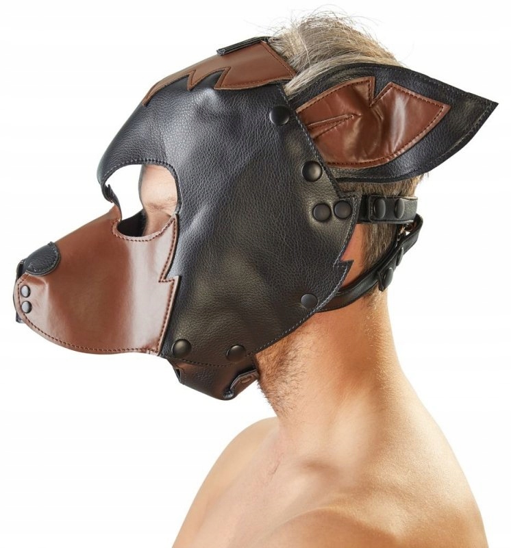 Маска собаки купить. Шлем-маска Dog Mask. Маска собаки. Маска собаки кожаная. Маска собаки на голову.