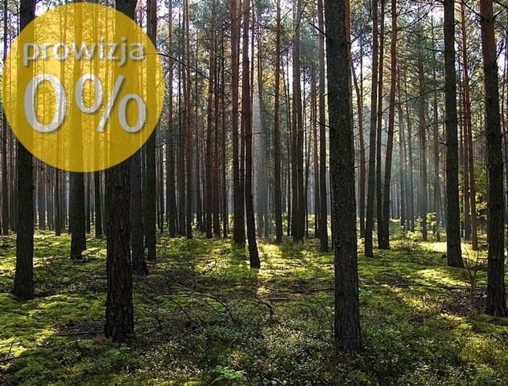 Działka, Rostki Wielkie, 50000 m²
