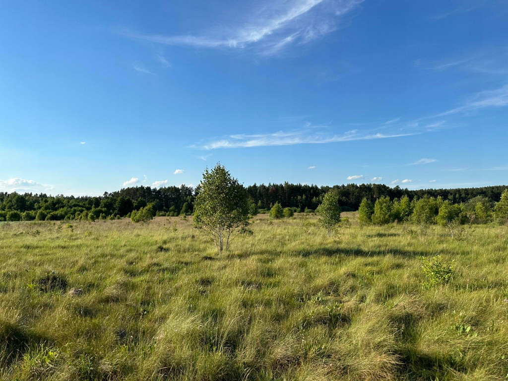 Działka, Podgać, Zabrodzie (gm.), 990 m² - 16262141644 - oficjalne ...