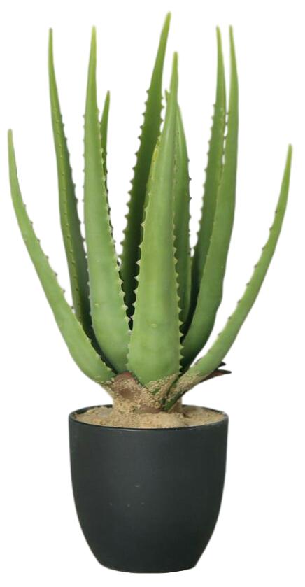 SUKULENT KAKTUS SZTUCZNY aloes sztuczne kwiaty - 7344746816 - oficjalne  archiwum Allegro