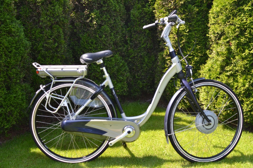 Rower elektryczny holenderski SPARTA ION SERIE D57 8260753310