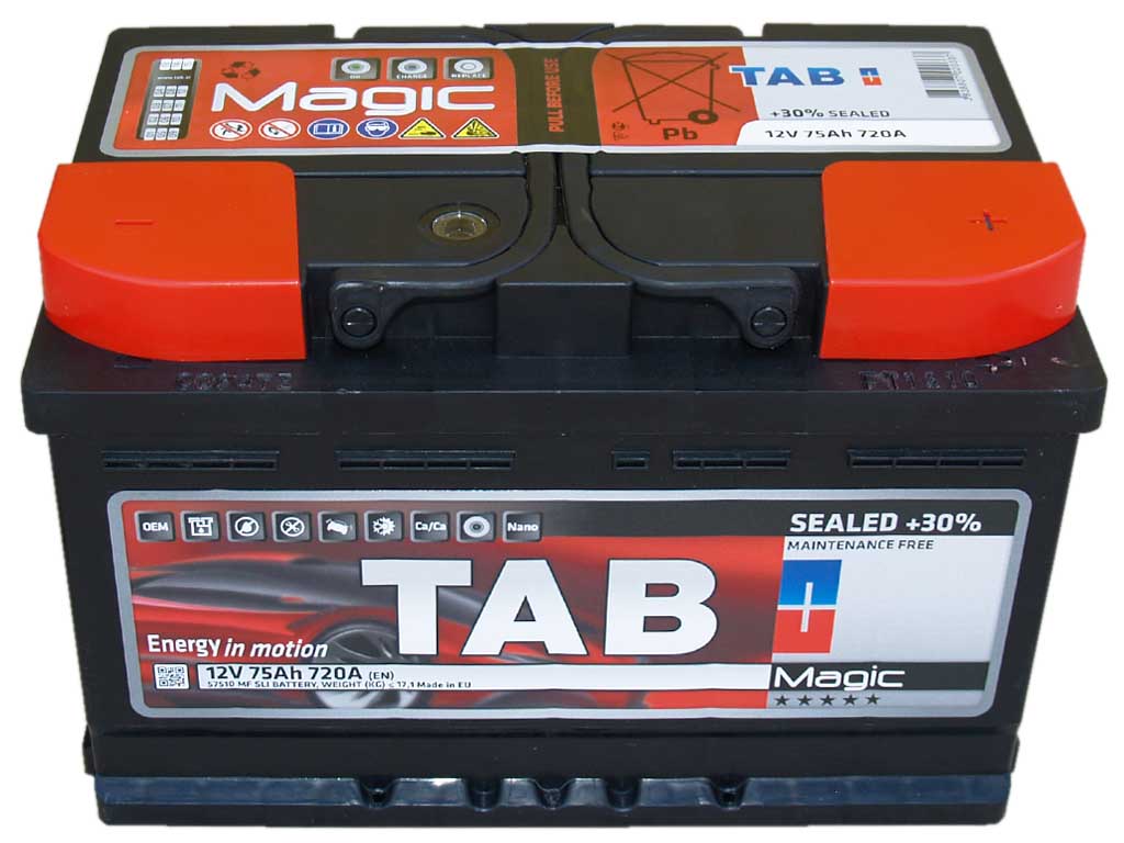 Batterie 189058 TAB Magic 12V 55Ah 560A B13 Bleiakkumulator ➤ TAB