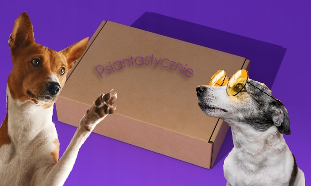 Psiantastyczny box dla psa DUŻY