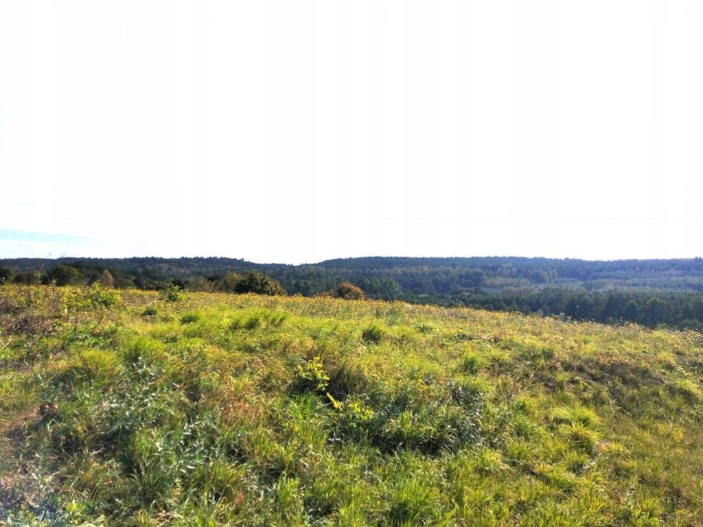 Działka, Grudziądz, 1407 m²