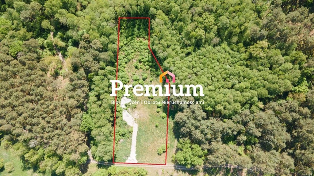 Działka, Płoty, Czerwieńsk, Zielonogórski, 5130 m²