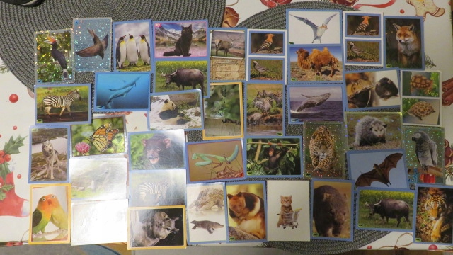 NAKLEJKI KOLEKCJONERSKIE PANINI ANIMAL WORLD 39SZT