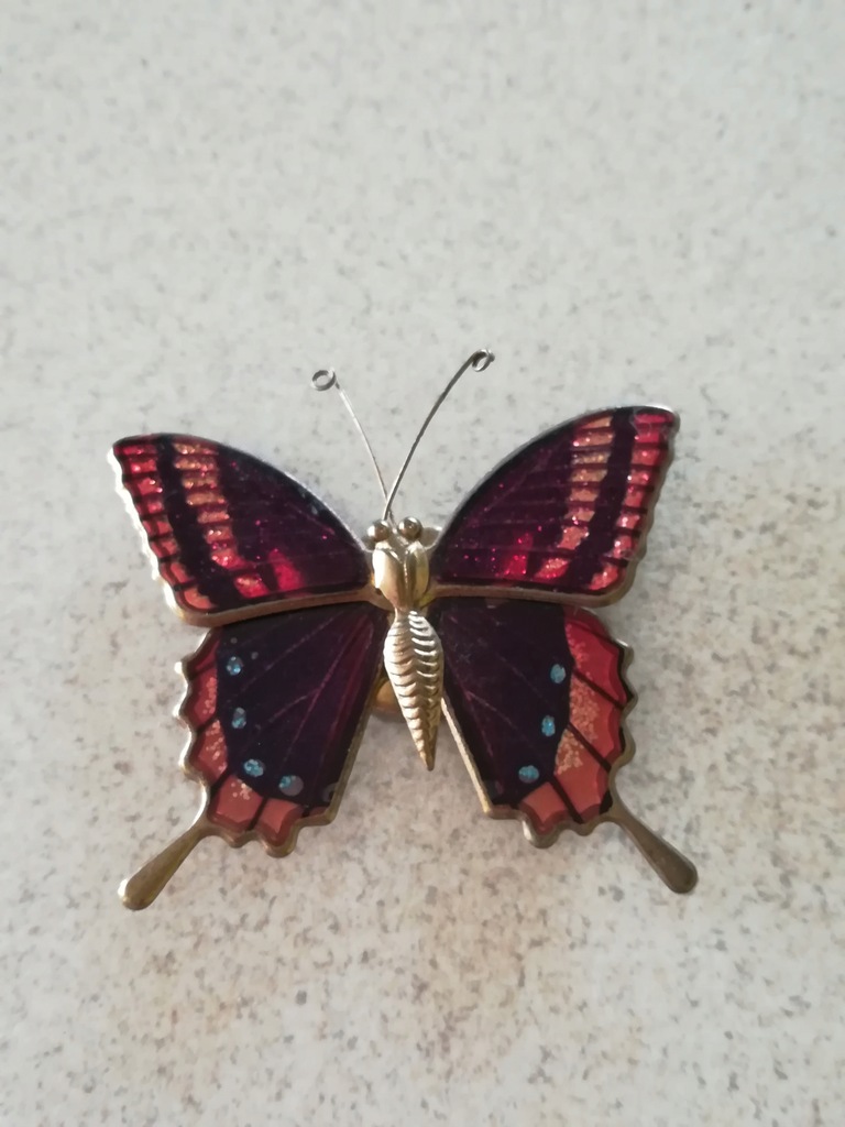 Magnes na lodówkę motyl motylek