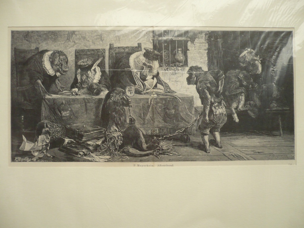 małpie prawo i sprawiedliwość, oryg. 1878
