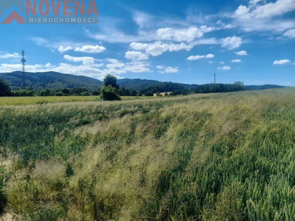 Działka, Bielawa, Dzierżoniowski (pow.), 5800 m²