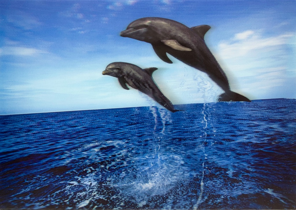 Obraz 3D na ścianę obrazek delfiny w morzu 34x25cm