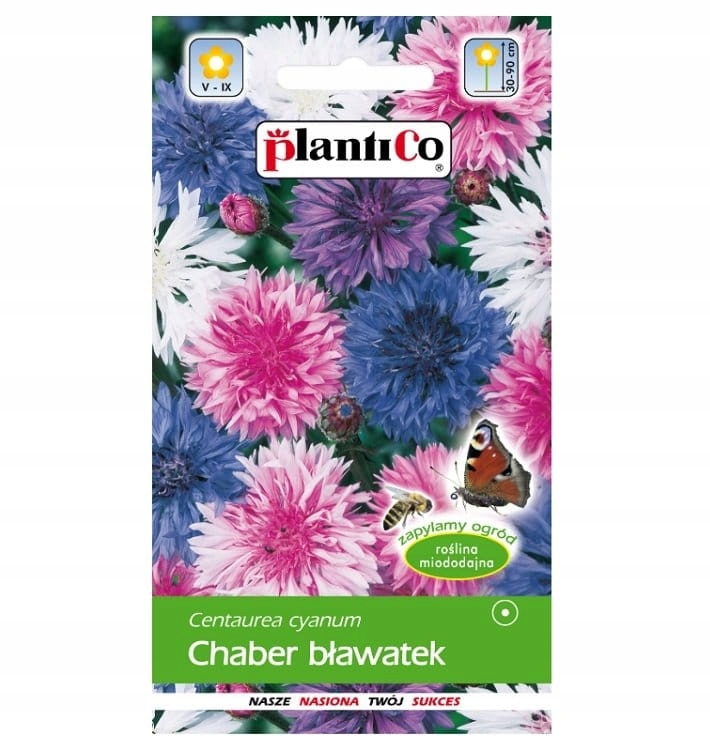 CHABER BŁAWATEK nasiona kwiatów Plantico 1g