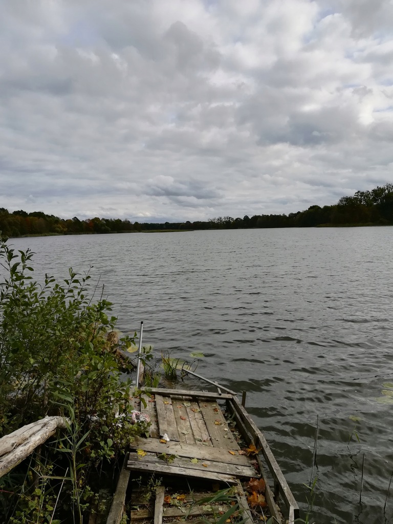 Działki nad Jeziorem Pławno Duze z linia brzegową