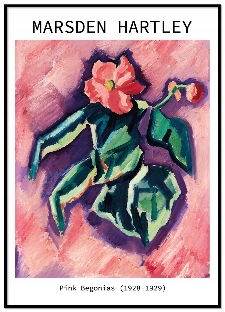 PlakatRóżowe Begonie Marsden Hartley Sztuka Modern Art Kwiaty 50x70