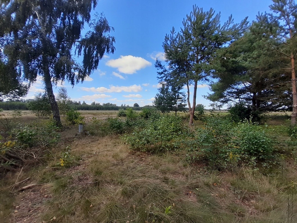 Działka, Łacha, Serock (gm.), 1000 m²