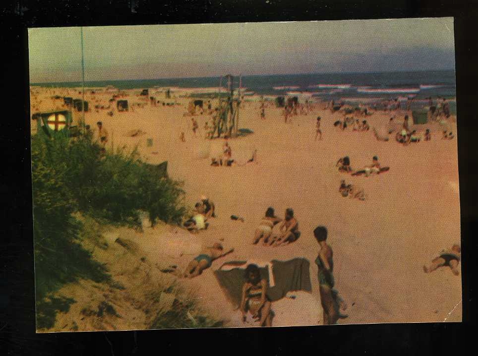 123 Jastarnia plaża