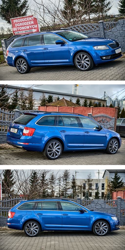 Купить ОКТАВИЯ 2.0 TDI 4x4 LAURIN & KLEMENT WEBASTO: отзывы, фото, характеристики в интерне-магазине Aredi.ru