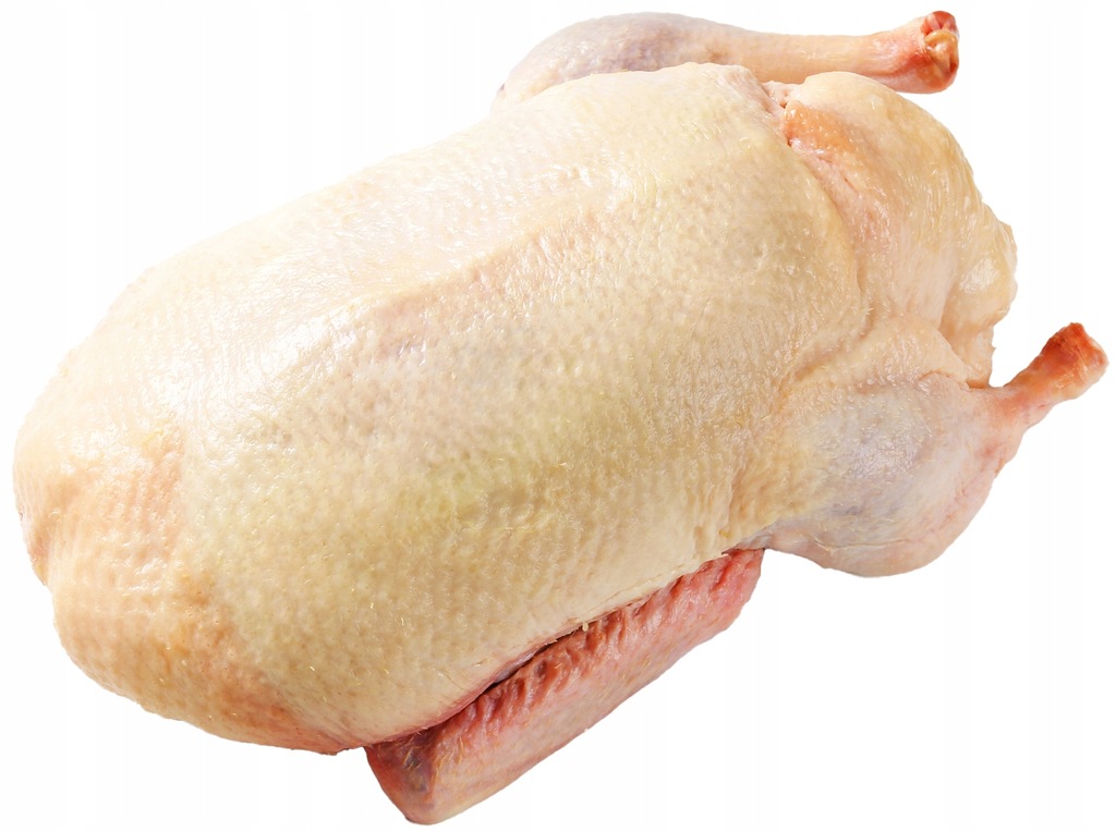 KACZKOGĘŚ mulart TUSZA skubana i opalana POLSKA EKO od rolnika - 3 - 4 kg