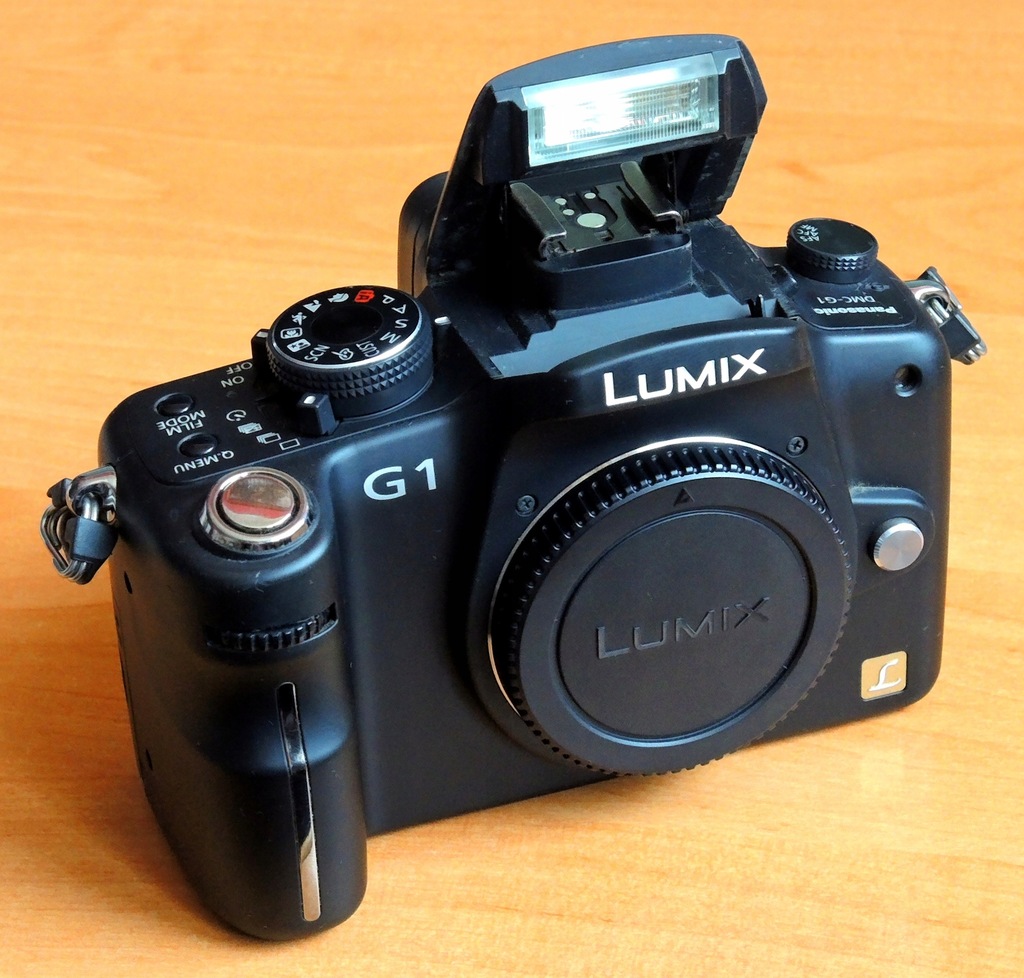 PANASONIC LUMIX DMC-G1