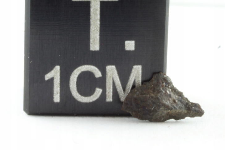 Meteoryt NWA 753, chondryt R, RUMURUTIT